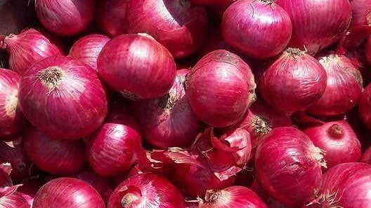 Red Onions