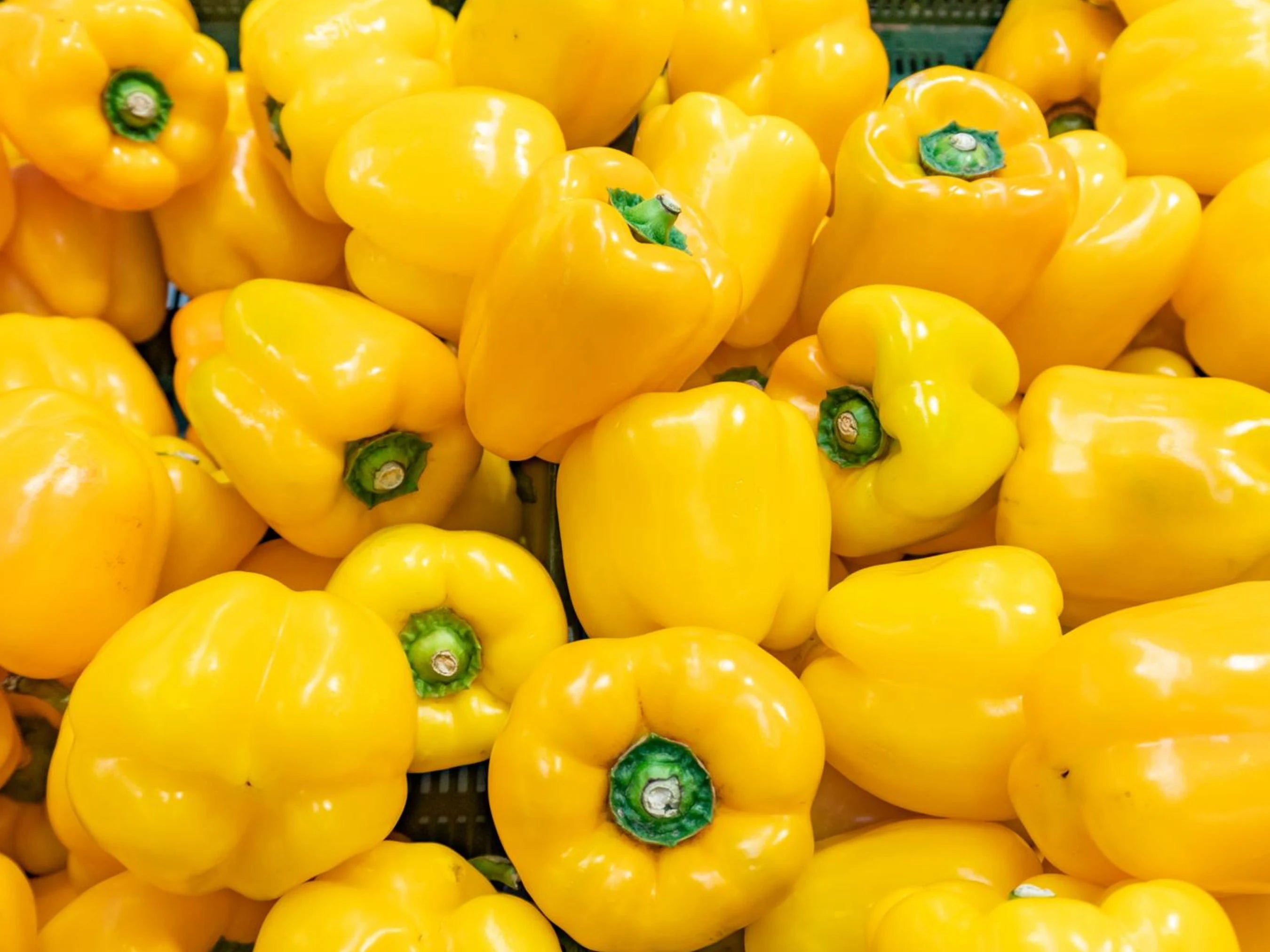 Yellow Pepper